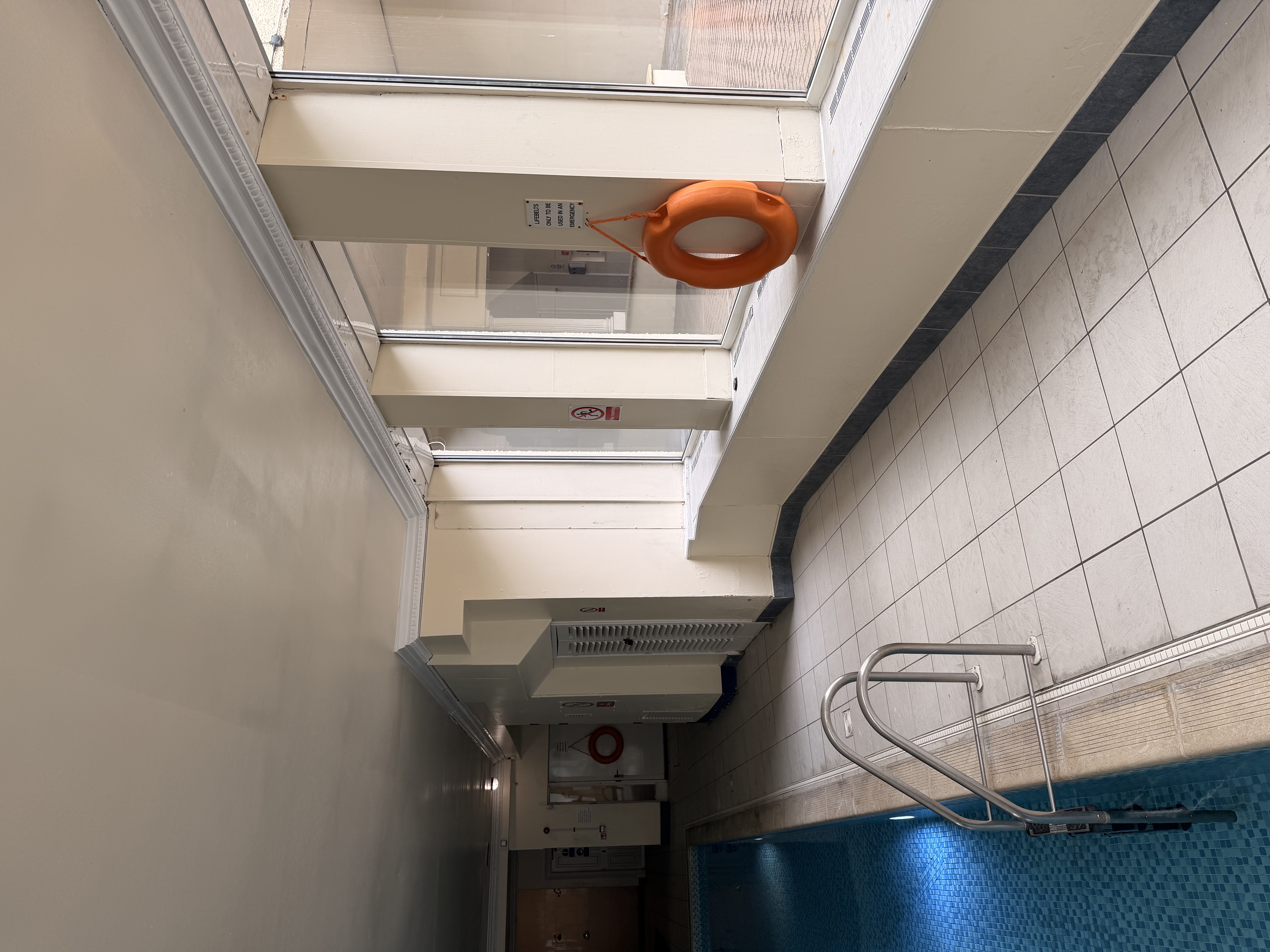 Rescue pole